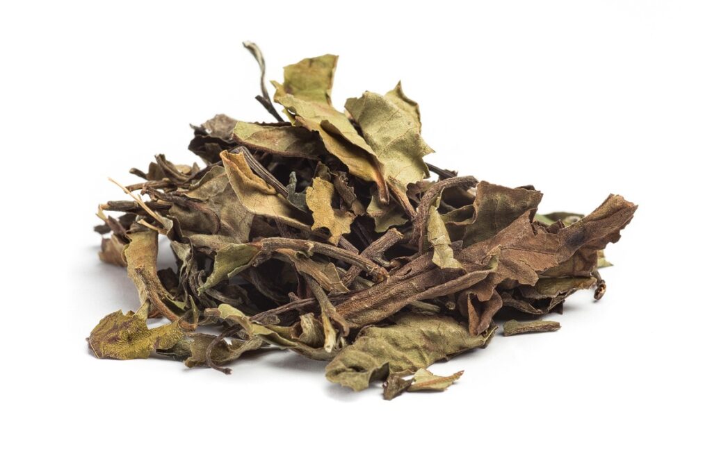 Bai Mu Tan - bílý čaj