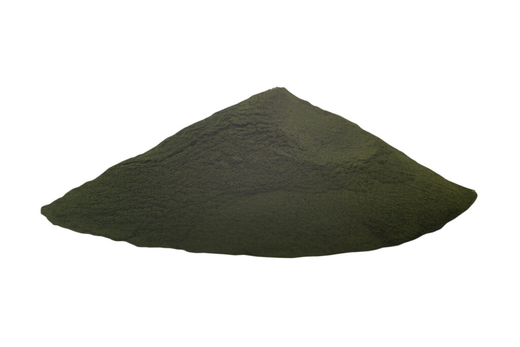 Chlorella BIO - prášek