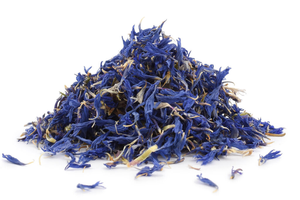 Chrpa květ bez kalichu (Centaurea cyanus) - bylina