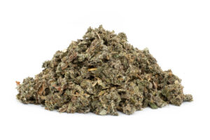Lopuch list (Arctium lappa) - bylina