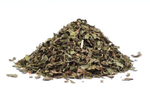 Máta peprná (Mentha piperita)