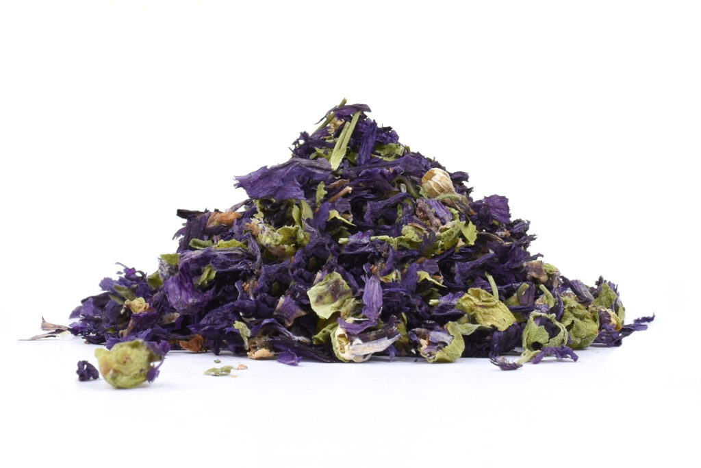 Sléz maurský květ (Malva mauritiana) - bylina