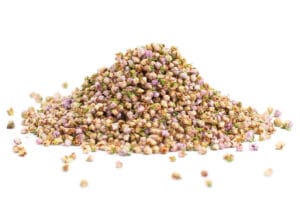 Vřes květ (Calluna vulgaris flos) - bylina